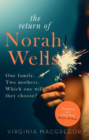 bigCover of the book The Astonishing Return of Norah Wells by 