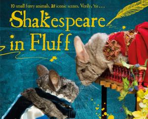 Cover of the book Shakespeare in Fluff by Tom Jamieson