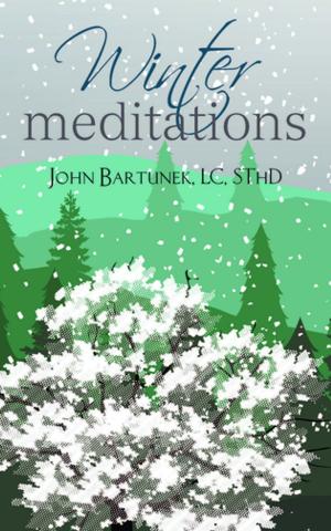 Cover of the book Winter Meditations by A Redemptorist Pastoral Publication