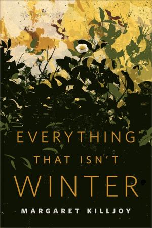 Cover of the book Everything That Isn't Winter by Howard Andrew Jones
