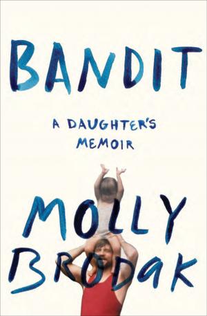 Cover of the book Bandit by Tracy Borman
