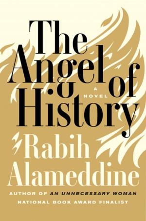 Book cover of The Angel of History