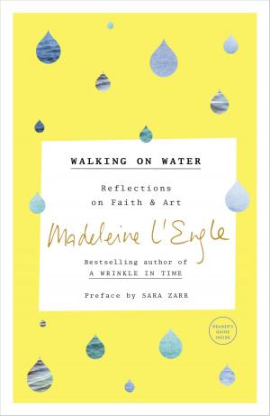 Cover of the book Walking on Water by Shaunti Feldhahn, Lisa A. Rice