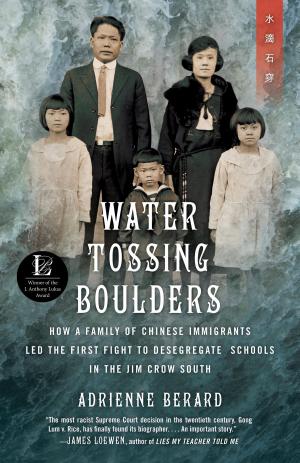 Cover of the book Water Tossing Boulders by Alan Wolfe