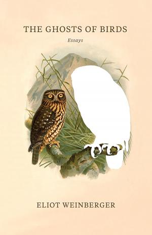 Book cover of The Ghosts of Birds