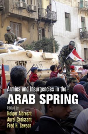 Cover of the book Armies and Insurgencies in the Arab Spring by Sharon Block