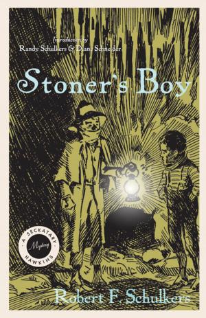 Cover of the book Stoner's Boy by Edward Steers Jr.