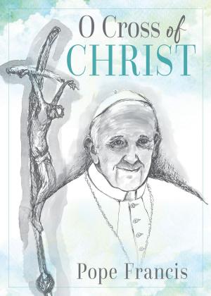 Cover of the book O Cross of Christ by Brendan Byrne SJ