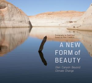 Cover of the book A New Form of Beauty by W. J. McGee, Hazel McFeely Fontana, Bernard L. Fontana