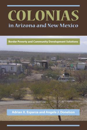 Cover of the book Colonias in Arizona and New Mexico by Vinay R. Kamat