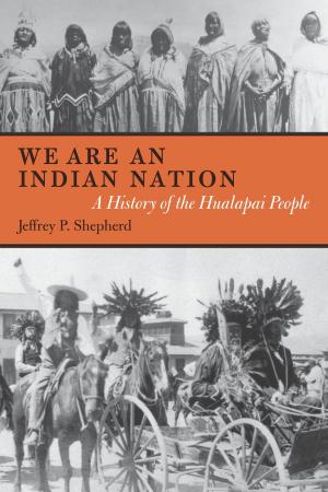 Cover of the book We are an Indian Nation by Jimmye Hillman