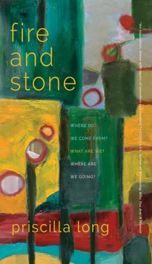 Cover of the book Fire and Stone by Bruce A. Ronda
