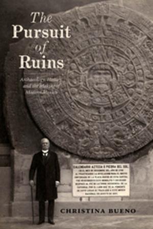 Cover of the book The Pursuit of Ruins by Paula E. Morton