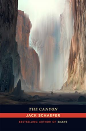 Cover of the book The Canyon by Eunice Lipton