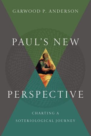 Cover of Paul's New Perspective