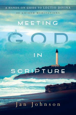 Cover of the book Meeting God in Scripture by Amy Simpson
