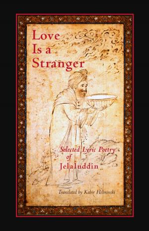 Cover of the book Love is a Stranger by Allah