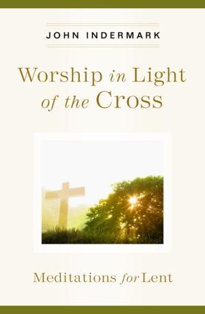 Cover of the book Worship in Light of the Cross by Kristen E. Vincent