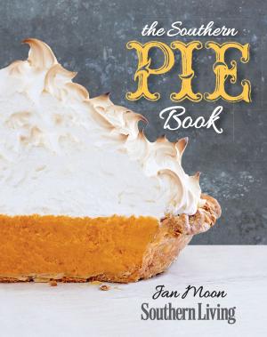 Book cover of The Southern Pie Book