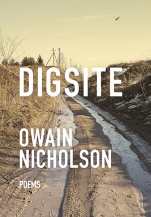 Book cover of Digsite