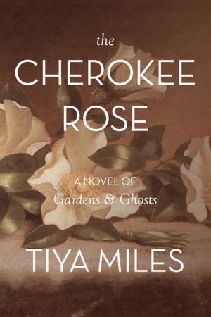 Book cover of The Cherokee Rose