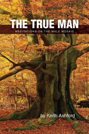 bigCover of the book The True Man: Meditations on the Male Mosaic by 