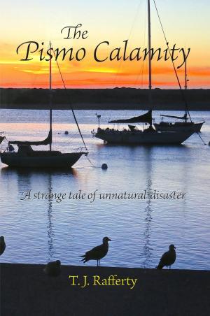 Cover of the book The Pismo Calamity by Frederic Paulin