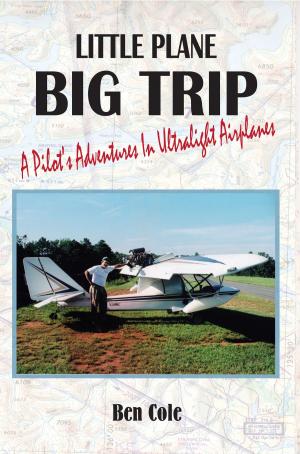 Cover of the book Little Plane Big Trip by Queenbee Aurora