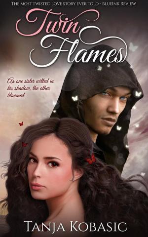 Cover of the book Twin Flames by Terri E. Laine, A. M. Hargrove