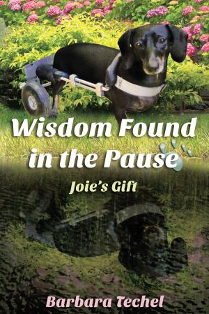 Book cover of Wisdom Found In The Pause: Joie's Gift