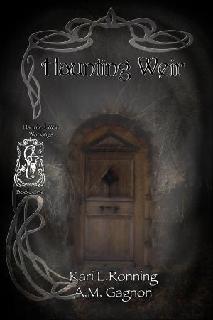 Cover of the book Haunting Weir by David V. Stewart