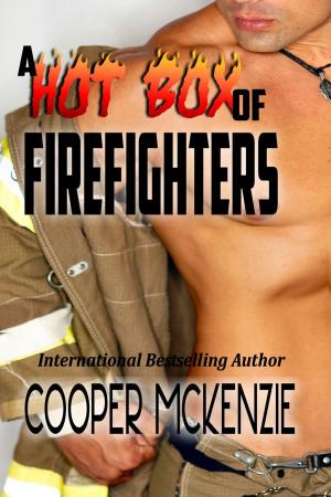 Book cover of A Hot Box of Firefighters