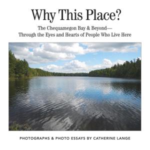 Cover of the book Why This Place? by Hamburger Studio