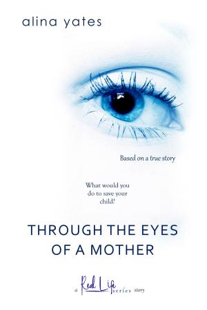 Cover of Through the Eyes of a Mother