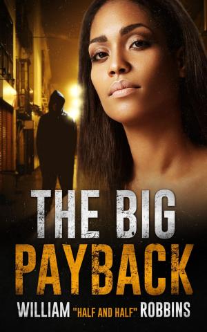 bigCover of the book The Big Payback by 