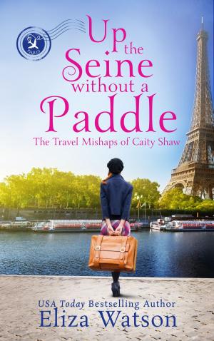 Book cover of Up the Seine Without a Paddle