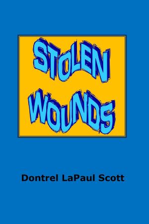Cover of the book Stolen Wounds by Ilya Tourtidis