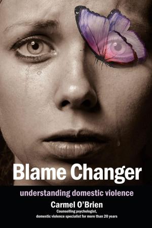 Cover of the book Blame Changer by Troy Veenstra
