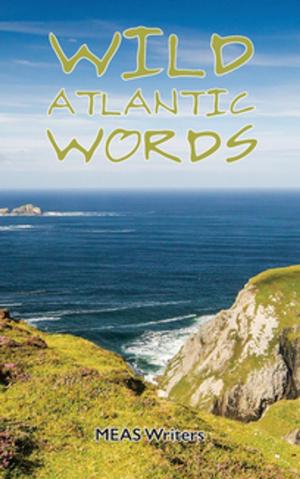 Cover of the book Wild Atlantic Words by V. Campudoni