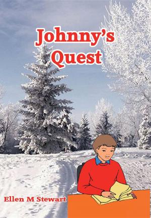 Book cover of Johnny's Quest