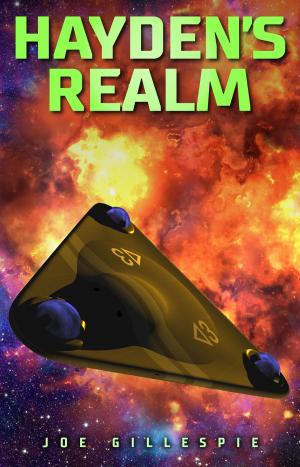 Cover of the book Hayden's Realm by D. F. Wink