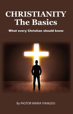 Book cover of Christianity - The Basics