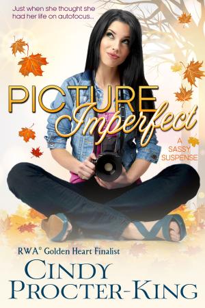 Cover of the book Picture Imperfect (Humorous Mystery Romance) by Elizabeth Burgess