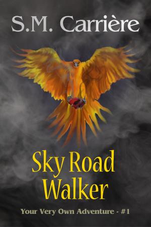 Cover of the book Sky Road Walker by S.M. Carrière