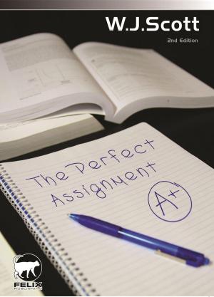 Book cover of The Perfect Assignment