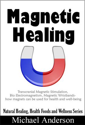 Cover of the book Magnetic Healing: Transcranial Magnetic Stimulation, Bio Electromagnetism, Magnetic Wristbands- How Magnets can be used for Health and Well-being by Elena Pankey