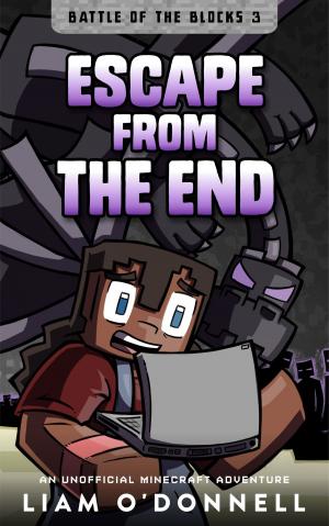 Book cover of Escape from the End