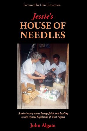 Cover of the book Jessie's House of Needles by A. Manjulatha