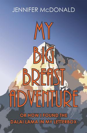 Cover of My Big Breast Adventure