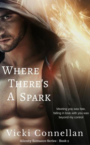 Cover of the book Where There's A Spark by Vicki Connellan